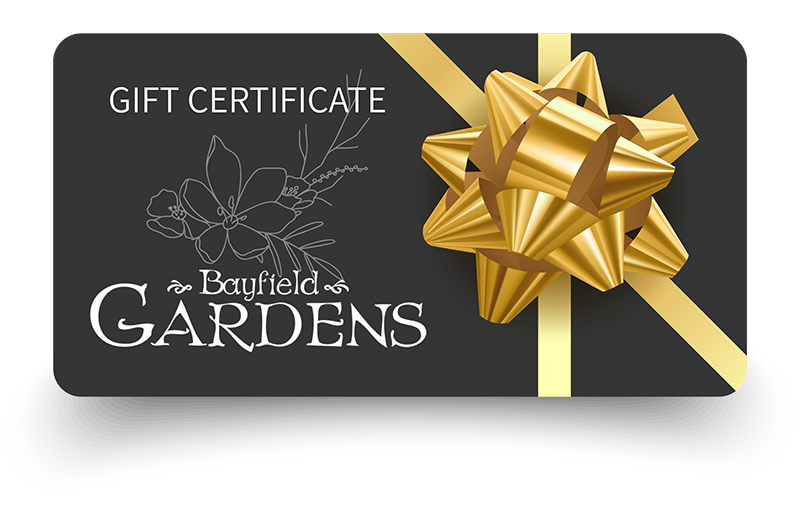 Bayfield Gardens E-Gift Card